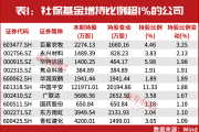 中东两大主权基金持仓曝光 现身51只A股十大流通股东名单