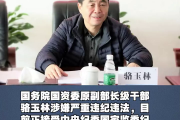 湖南省政协人口资源环境委员会副主任邓立佳接受审查调查