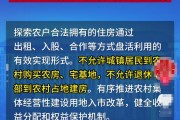 河南：不允许城镇居民到农村购买农房、宅基地 不允许退休干部到农村占地建房