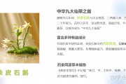 植物医生高山石斛馆落成，“中国成分”实现价值升舱