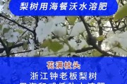 浙江召开水效产业质量提升会，老板电器作为优秀企业代表分享经验