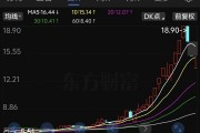 又一家，有退市风险，股价跌停！IPv6迎重磅利好，资金加仓这些股
