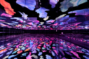 广州现象级大展：陈粉丸剪纸梦幻珠帘「有，�印垢稣�