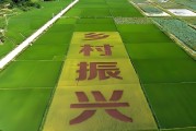 新能源全面市场化，整村开发为何更胜一筹？
