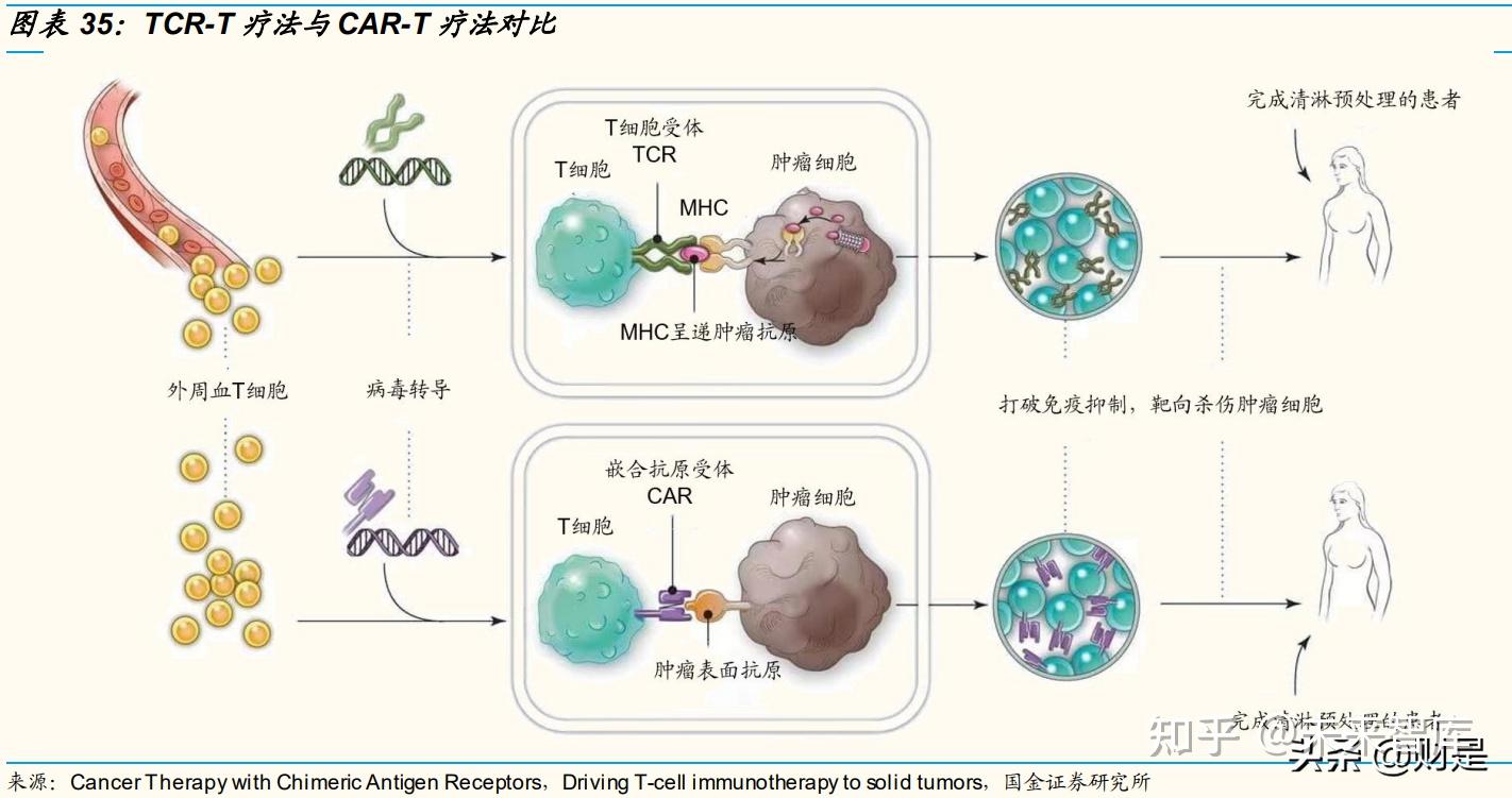 CAR-T疗法或迎更严监管，细胞与基因治疗行业风险何解？