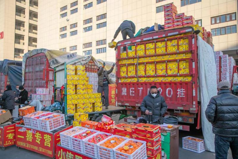 新华全媒+丨托稳百姓“菜篮子”——华中国际食品产业新城“首衡城”见闻