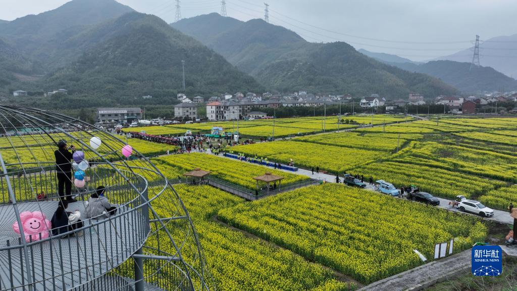 新华全媒+丨八桂大地奏响乡村振兴“协奏曲”——广西乡村振兴重点帮扶县观察