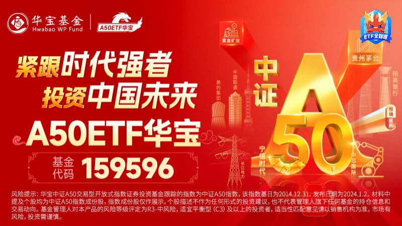 北向资金持续流入，A50ETF（159601）龙头优势明显