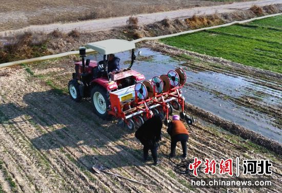 新华全媒+丨少浇一次水 多产一成粮 河北推进节水高产农业见闻