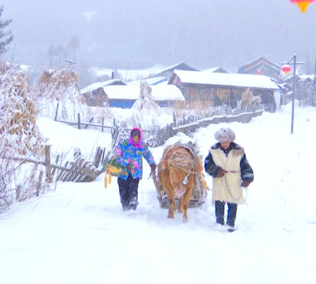 秀我中国｜雪村“点雪成金”的秘诀