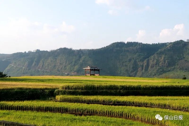 乡村行·看振兴丨河南新安：樱桃谷里的乡村新图景