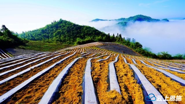 云织梦想 驱动转型 移动云掀起三晋大地数字化转型浪潮