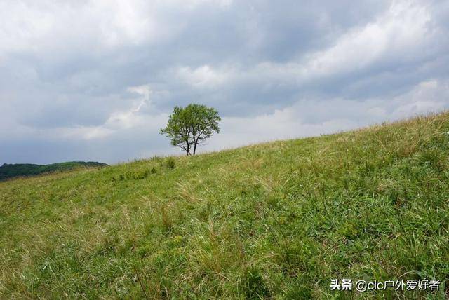 科博会珍品 探秘源自京西灵山的绿色鲜活味道