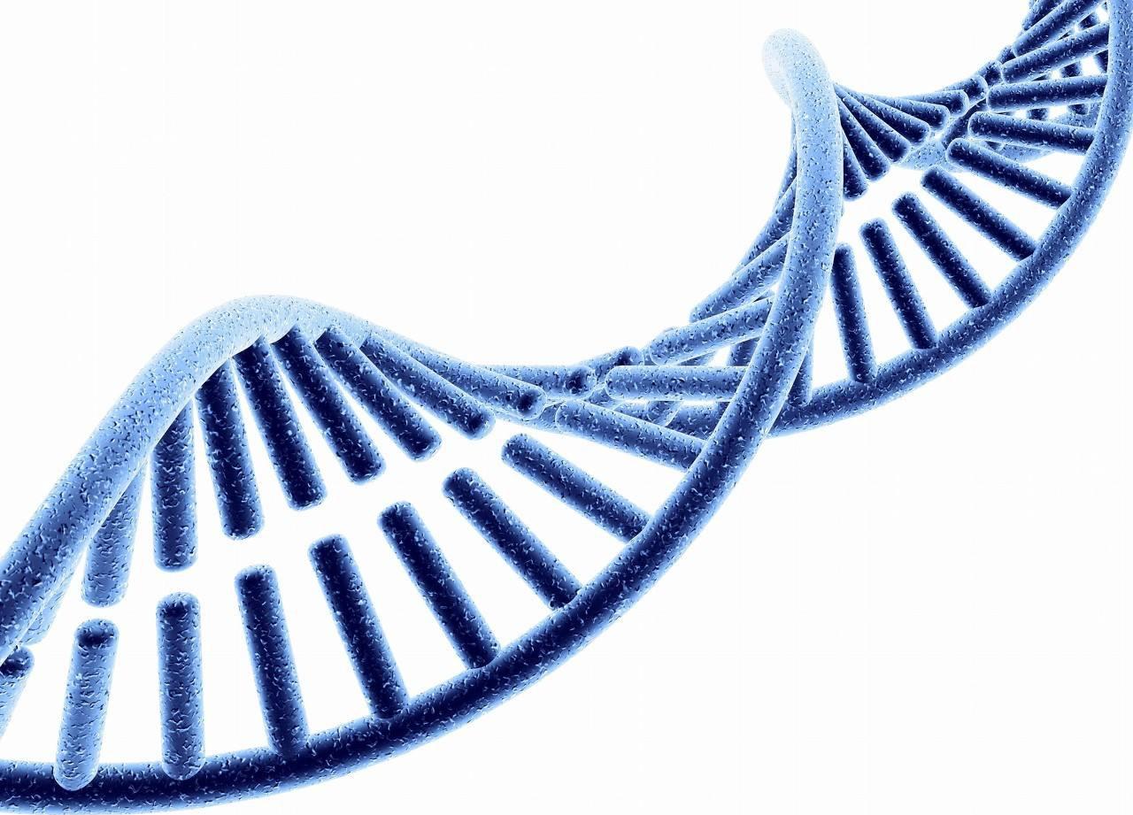 君实生物：特瑞普利单抗第12项上市申请获受理 用于晚期黑色素瘤一线治疗