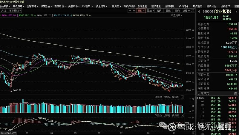 政策加码 A股放量大涨 多公募研判后市机会