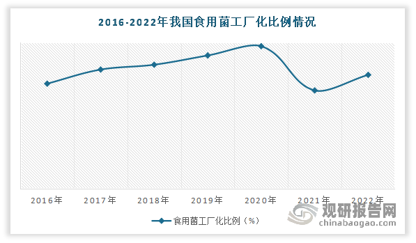 润本股份涨6.69%，股价创历史新高