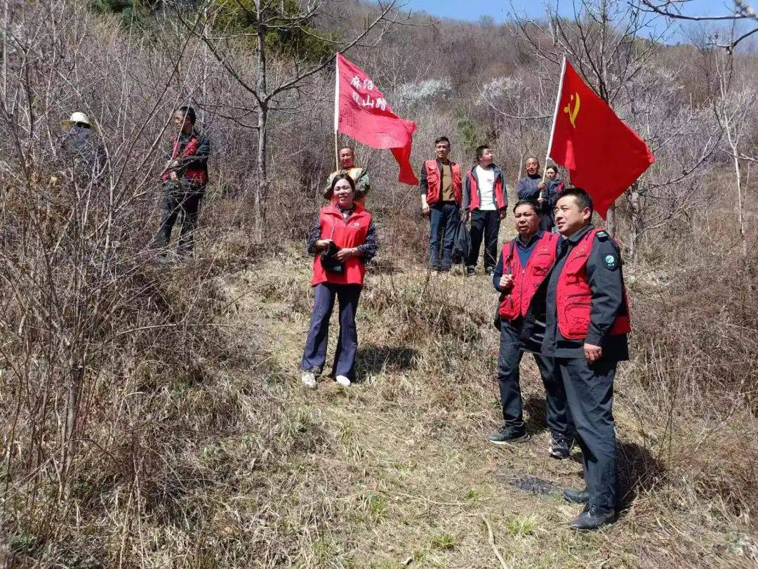 找东北虎、野外搜救、森林防火……“无人机+热成像”显身手