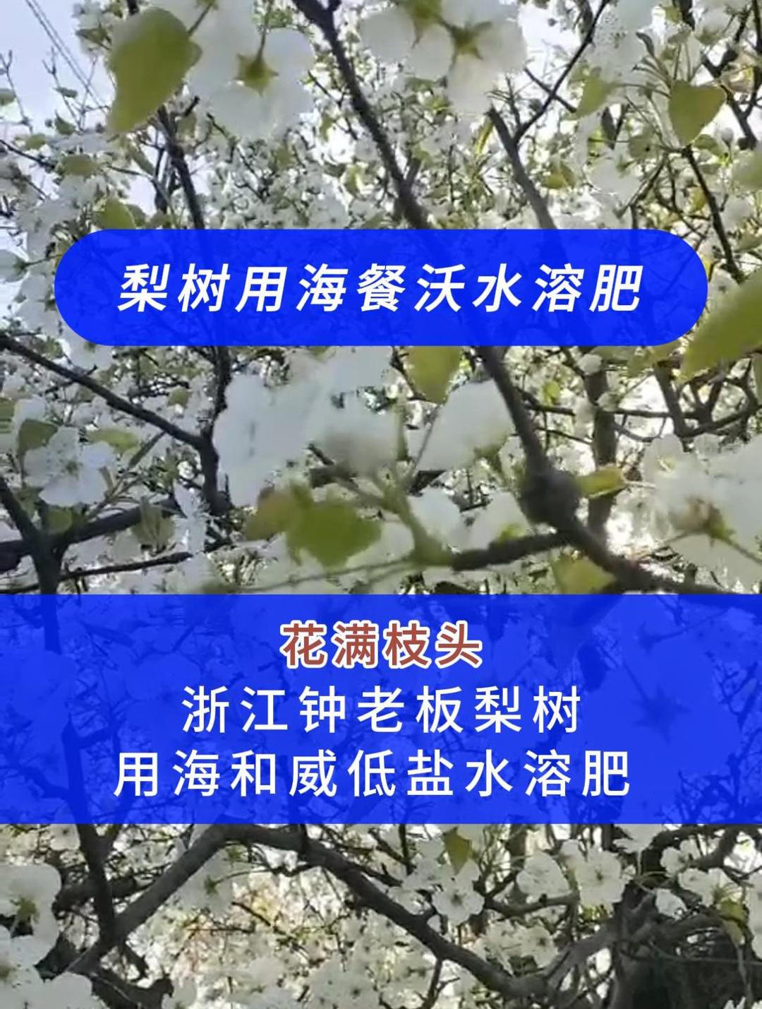 浙江召开水效产业质量提升会，老板电器作为优秀企业代表分享经验