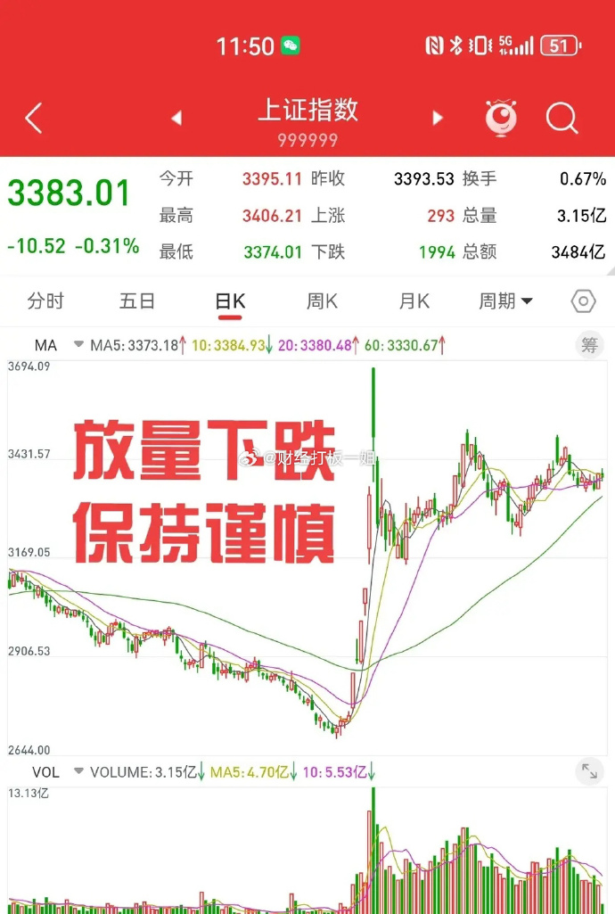 李大霄：《行动方案》是真正特大利好 中国股市的春天或提前到来 散户赚指数不赚钱的时代过去了