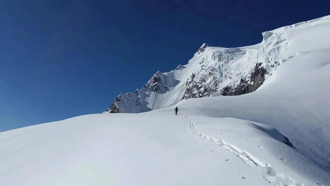 赛道长坡厚雪，业绩持续向好的叮当健康被低估了吗？