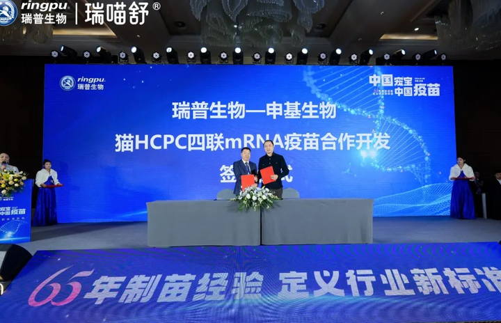 布局千亿市场！国产基因测序仪，从替代到领跑！