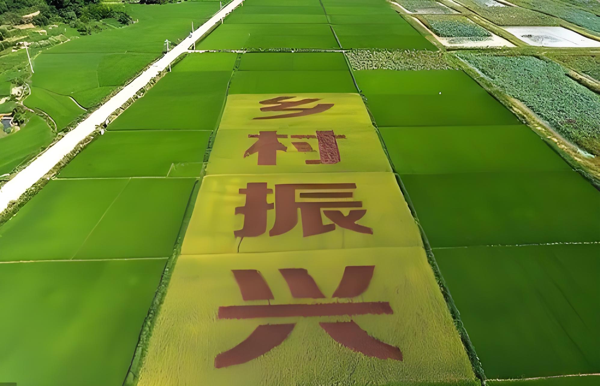 新能源全面市场化，整村开发为何更胜一筹？