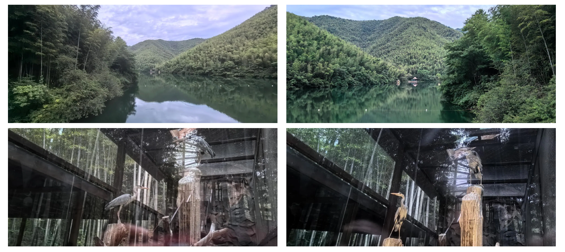 减收减利的天目湖：三大核心5A级景区去年业绩全面下滑，募投项目五年“难产”