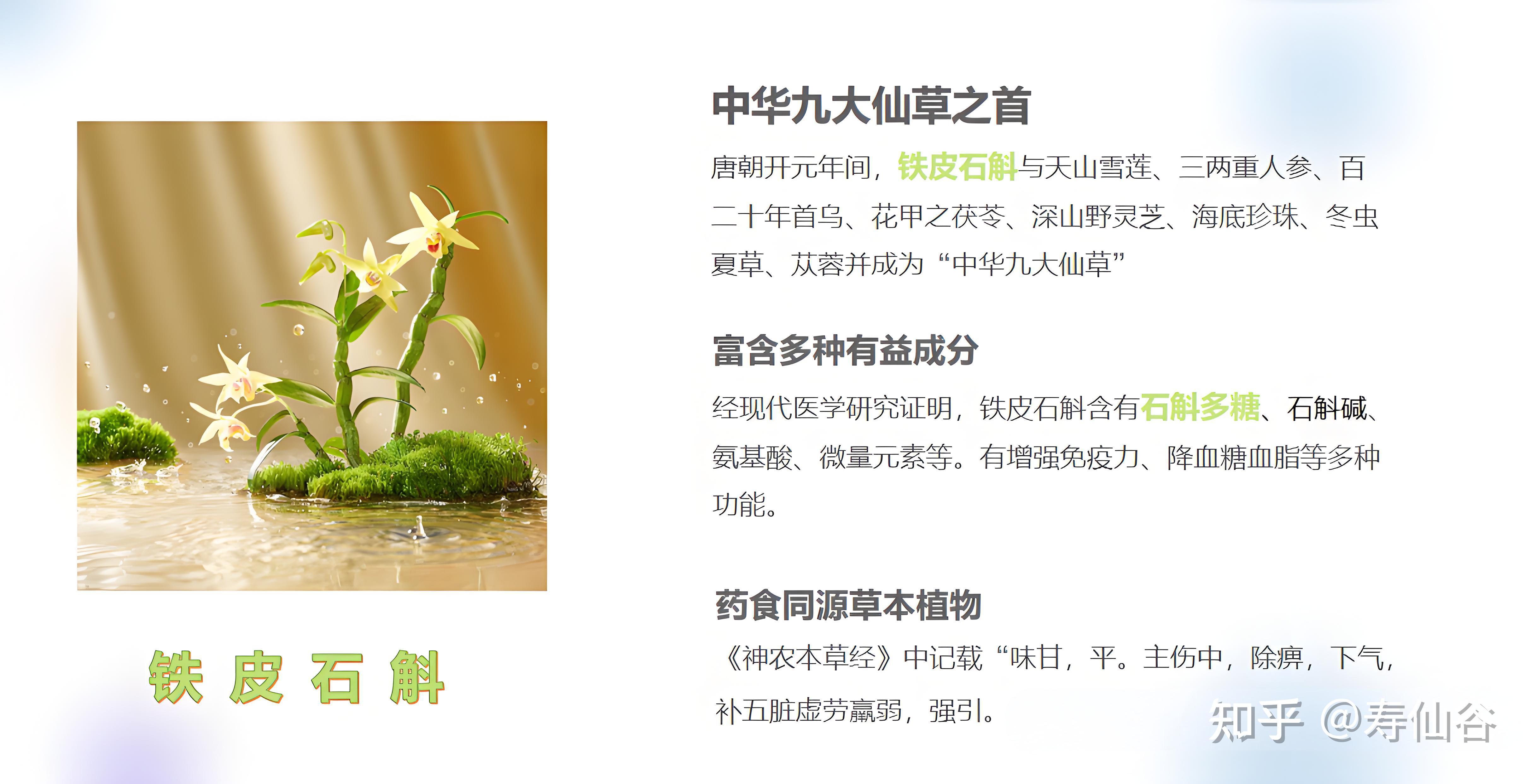 植物医生高山石斛馆落成，“中国成分”实现价值升舱
